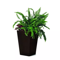 Ketter Osłonka na doniczkę Rattan Planter brązowy, 23,6 l, 29 x 44 x 29 cm