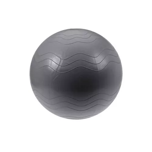 XQ Max Akcesorium do ćwiczenia Yoga Ball śr. 65 cm, srebrny